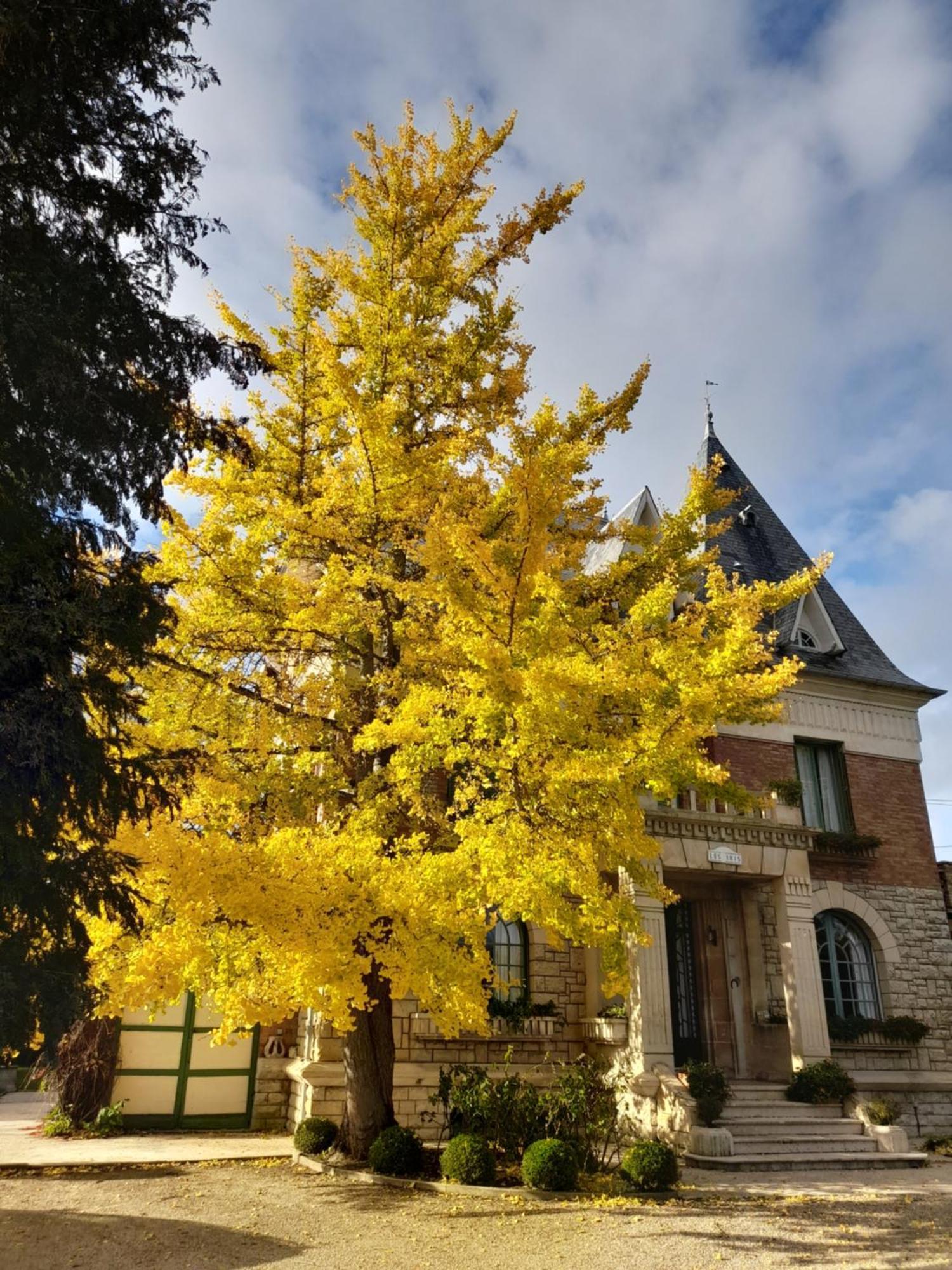 Villa Les Iris Saint-Félix Buitenkant foto